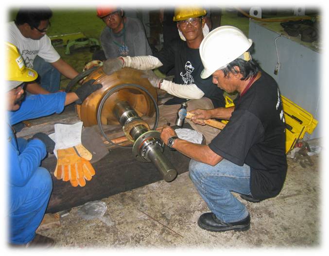 Plant Maintenance