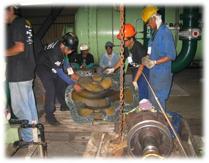 Plant Maintenance